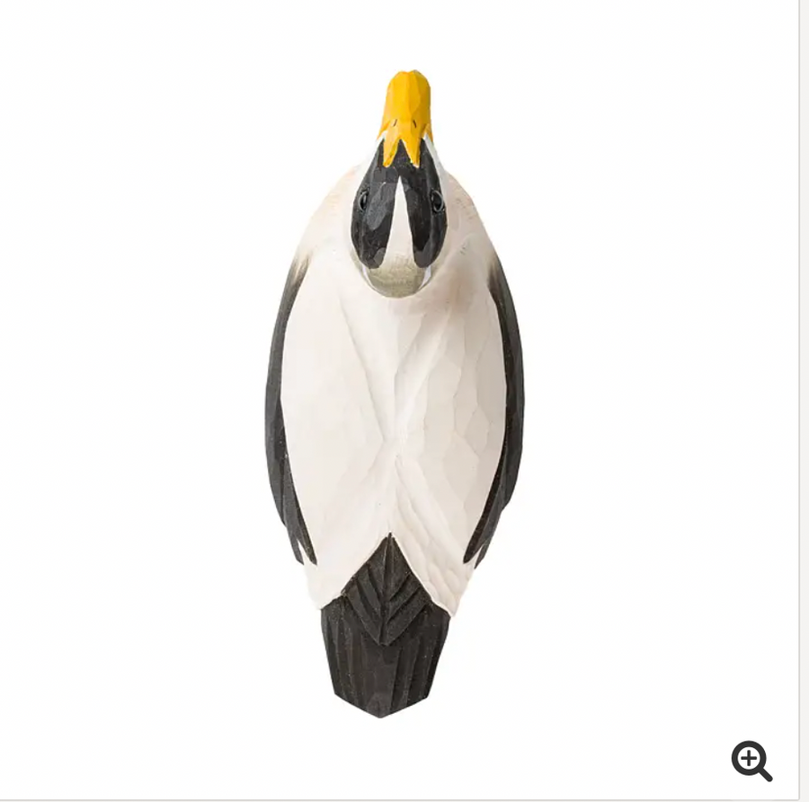 Abrebotellas Eider Duck