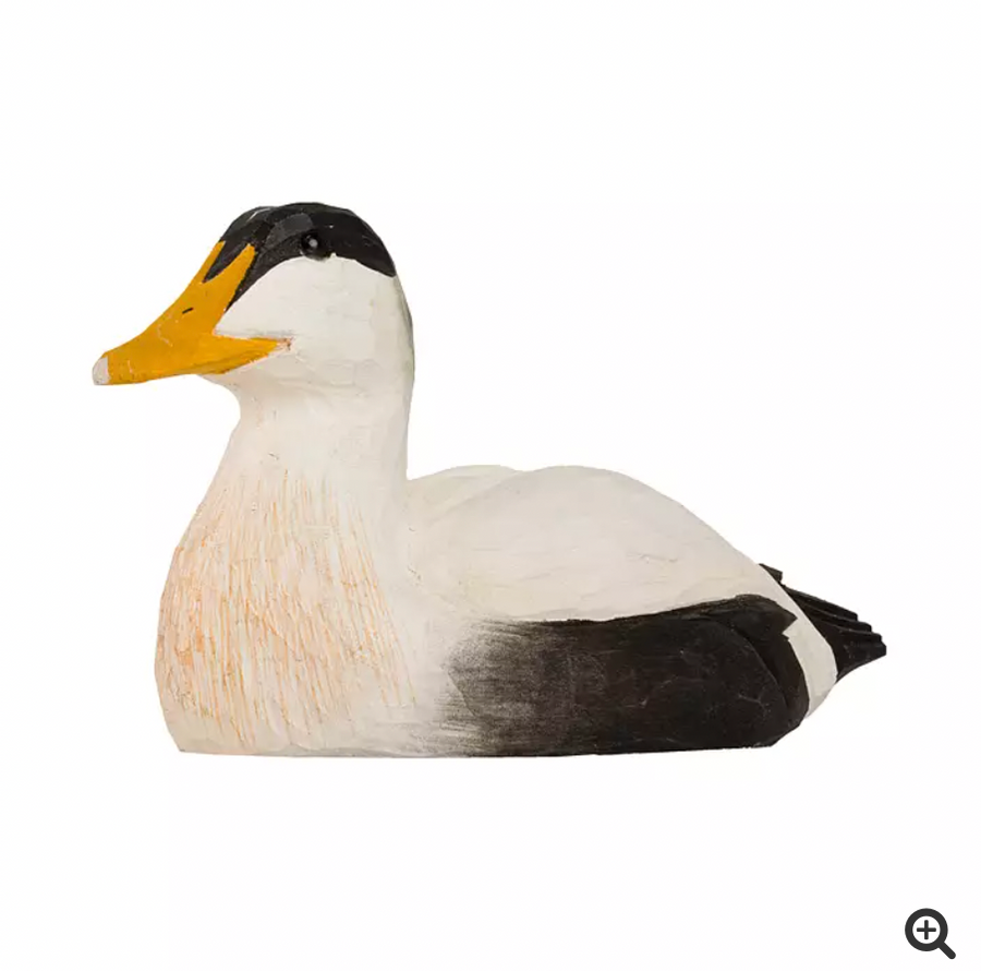 Abrebotellas Eider Duck