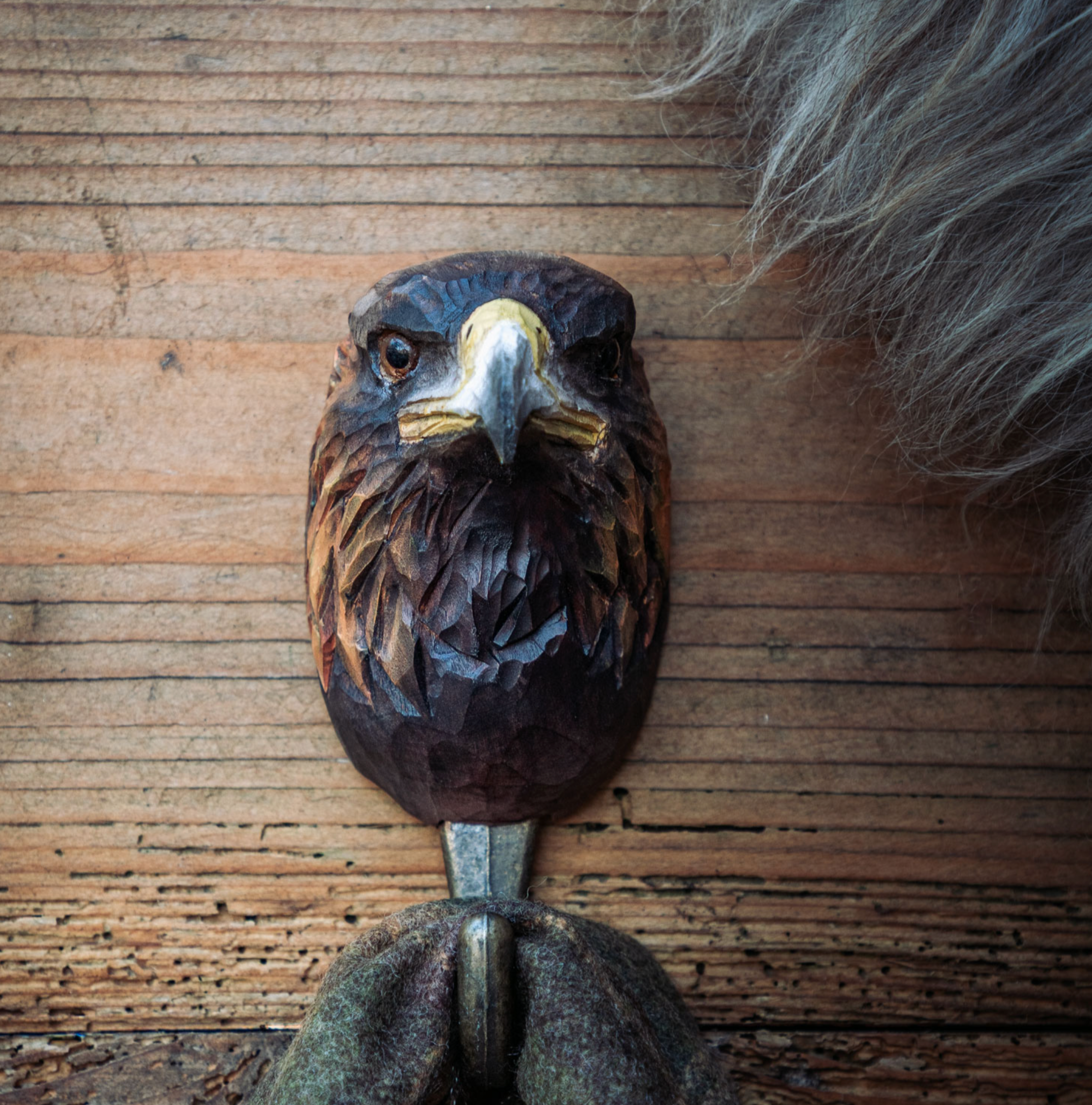 Zoom
