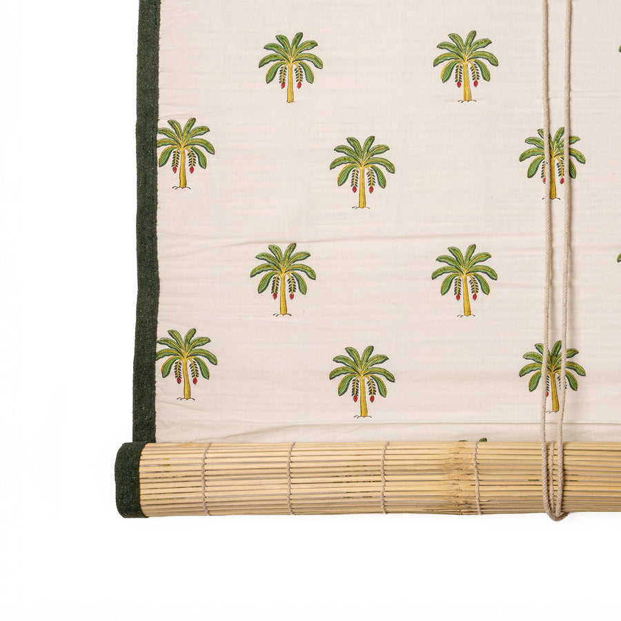 Estor Green  Palm (por encargo)