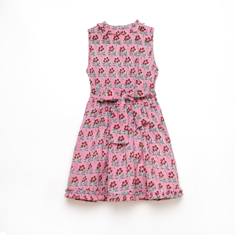 Rosa Dress Cherry Bunch