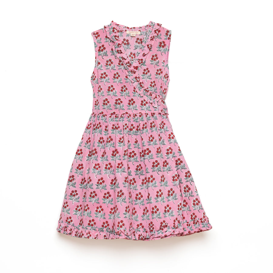Rosa Dress Cherry Bunch
