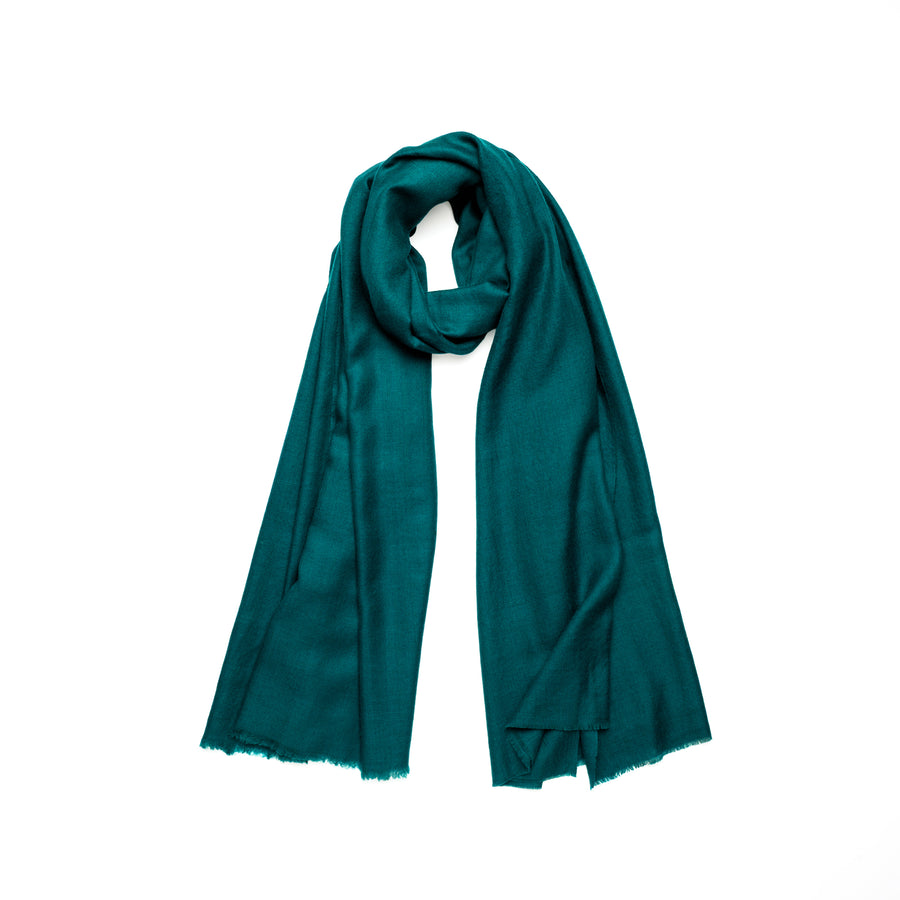 Pashmina Parasailing